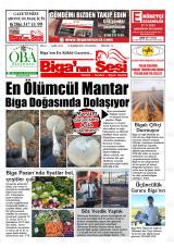 BİGA'NIN SESİ