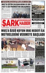 MUŞ ŞARK HABER