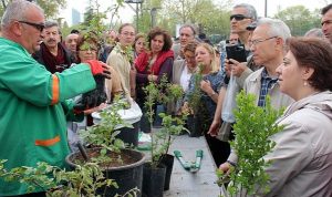 Bahçıvanlık Eğitimleri İçin Başvurular Başlıyor