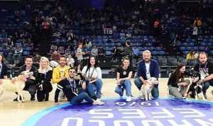 Anadolu Efes, Pawder İş Birliğiyle Depremzede Köpekleri Sinan Fazilet Spor Salonu’nda Ağırladı