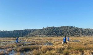 Büyükşehir Vektörle Çaba Çalışmalarına devam ediyor