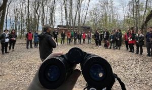 Ormanya’da kuş müşahede cinsine ağır ilgi