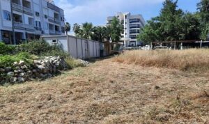 İlçe genelindeki yeşil alanlarda bakım çalışması