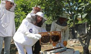 Antalya Büyükşehir kursiyerleri kovan başında arıcılık eğitimi aldı
