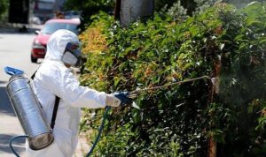 Karşıyaka’da sinek ve haşereyle etkin mücadele