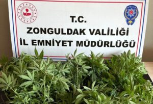 Kdz. Ereğli’de uyuşturucu operasyonu