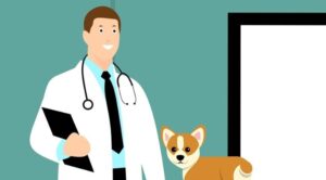 Veteriner Hekimler Şiddet Olaylarına İsyan Etti