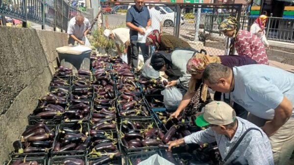 Kdz.Ereğli Ziraat Odası Başkanı halka 5 ton ücretsiz patlıcan dağıttı