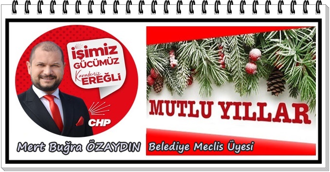 Mert Buğra Özaydın, yeni yıl kutlama ilanı